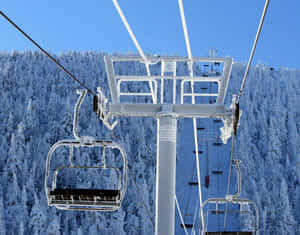 Seasonal Winter Enjoy Ski Resort Wallpaper