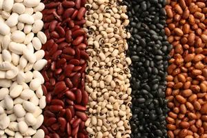 Segregated Bean Variety Wallpaper