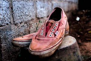 Selective Focus Photo Of Pair Of Pink Vans Low-top Sneakers On Top Of Gray Concrete Block Wallpaper