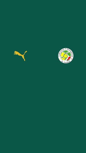 Senegal National Football Team Puma Jersey Wallpaper