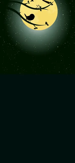 Serene Image Of Bird Adorned By Water Drop Notch Background Wallpaper