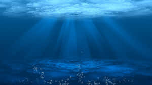 Serene Underwater View Wallpaper