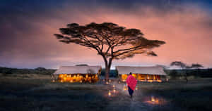 Serengeti National Park Village Lights Wallpaper