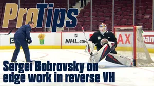 Sergei Bobrovsky Protips Poster Artwork Wallpaper