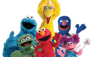 Sesame Street Tv Cartoon Characters Wallpaper