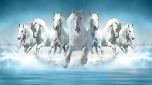 Seven White Horses Galloping Wallpaper