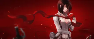 Sexy Anime Mikasa Ackerman Wallpaper