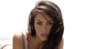 Sexy Brunette Actress Megan Fox Wallpaper