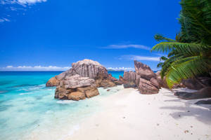 Seychelles Anse Banane Wallpaper