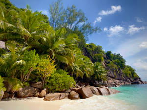 Seychelles Anse Intendance Wallpaper