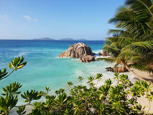 Seychelles Anse Patates Wallpaper