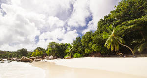 Seychelles Anse Takamaka Wallpaper