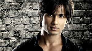 Shahid Kapoor Male Celebrity Wallpaper