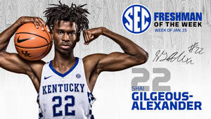 Shai Gilgeous Alexander Freshman Of The Week Wallpaper