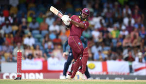 Shai Hope Batsman Wallpaper