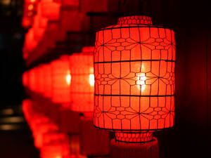 Shallow Focus Photography Of Red Paper Lanterns Wallpaper