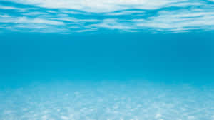 Shallow Sea Water Blue Pc Wallpaper