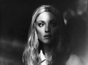 Sharon Tate Face Shadow Wallpaper