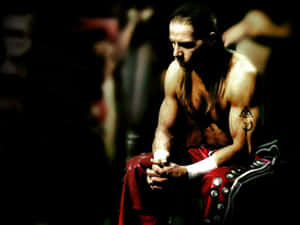 Shawn Michaels Three-time Wwf Champion Wallpaper