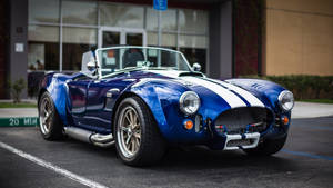 Shelby Cobra Racing Car Wallpaper