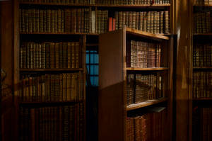 Shelves Hide A Door Wallpaper