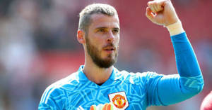 Shot Stopper Extraordinaire, David De Gea In Action Wallpaper