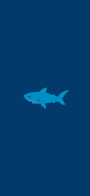Show Your Style And Stand Out With This Awesome Shark Iphone! Wallpaper