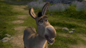 Shrek 2 Donkey On Grass Wallpaper