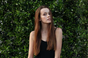 Shrubs Behind Linda Chica Wallpaper