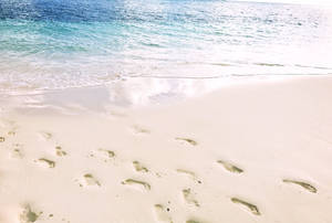 Siargao Island Beach Footprints Wallpaper