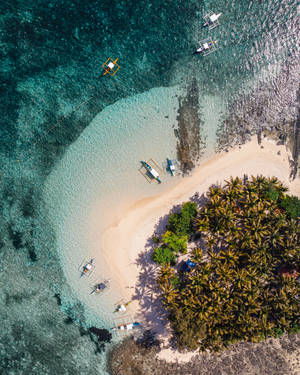 Siargao Island Guyam Wallpaper