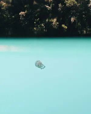 Siargao Island Sohoton Cove Wallpaper