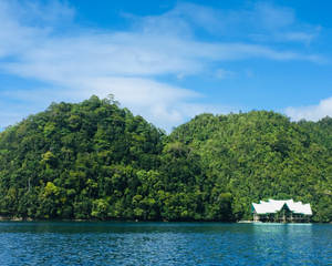 Siargao Island Sugba Lagoon Cliffs Wallpaper