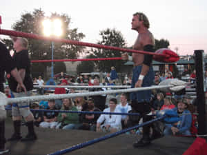 Sid Vicious Inside The Ring At Outdoor Venue Wallpaper
