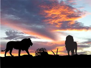 Silhouette Lions In Africa Wallpaper