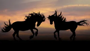 Silhouette Of Majestic Beautiful Horses Wallpaper