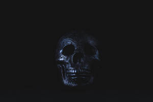 Silver-colored Skull Accessory On Black Surface Wallpaper