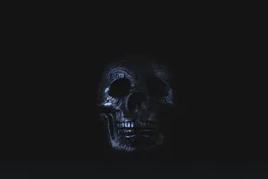 Silver-colored Skull Accessory On Black Surface Wallpaper