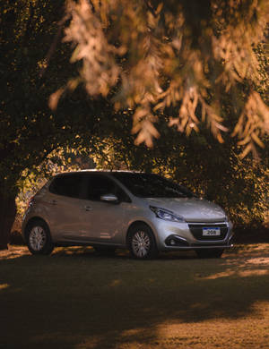 Silver Peugeot 208 Wallpaper