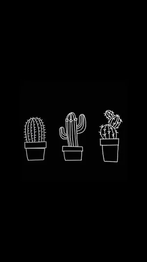 Simple Black Cactus Drawings Wallpaper
