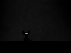 Simple Black Cat Eyes Halloween Aesthetic Wallpaper