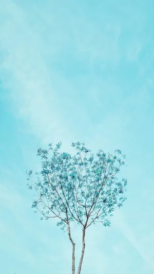 Simple Blue Aesthetic Tree Wallpaper