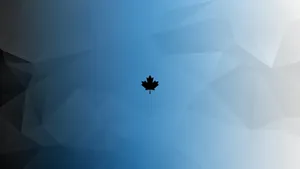 Simple Clean Maple Leaf Wallpaper