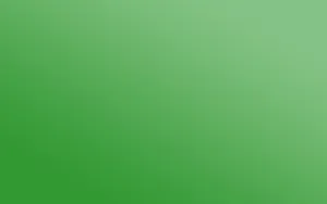 Simple Emerald Green Color Hd Gradient Wallpaper