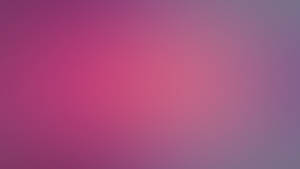 Simple Purple Gradient Hd Color Background Wallpaper
