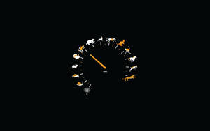 Simple Speed Gauge Wallpaper