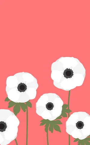 Simple Spring White Anemone Wallpaper