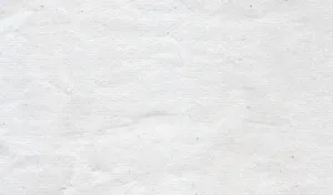 Simple White Background Wallpaper