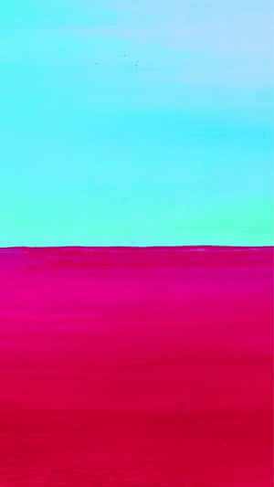 Simplicity At Its Best Wallpaper