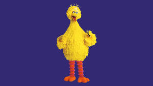 Singing Big Bird Wallpaper